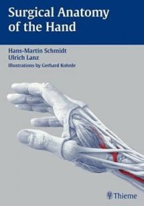 Surgical Anatomy of the Hand