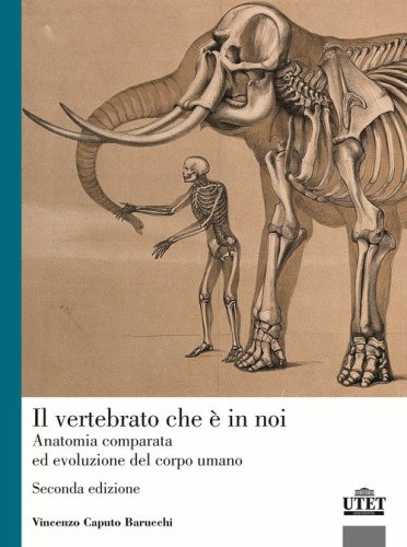 Il vertebrato che è in noi. Anatomia comparata ed evoluzione del corpo umano