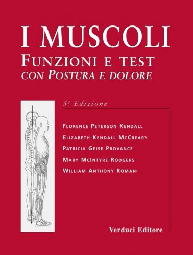 I muscoli
