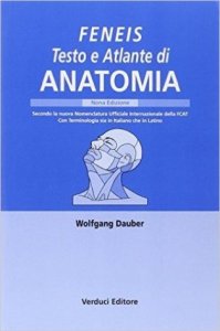 Testo e atlante di anatomia