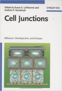 Cell junctions: adhesion, development and disease 