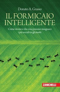 Il formicaio intelligente. Come vivono e che cosa possono insegnarci i più sociali tra gli insetti