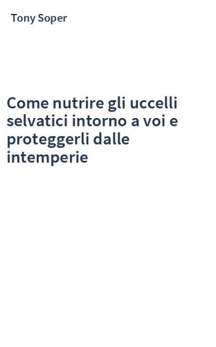Come nutrire gli uccelli selvatici intorno a voi e proteggerli dalle intemperie